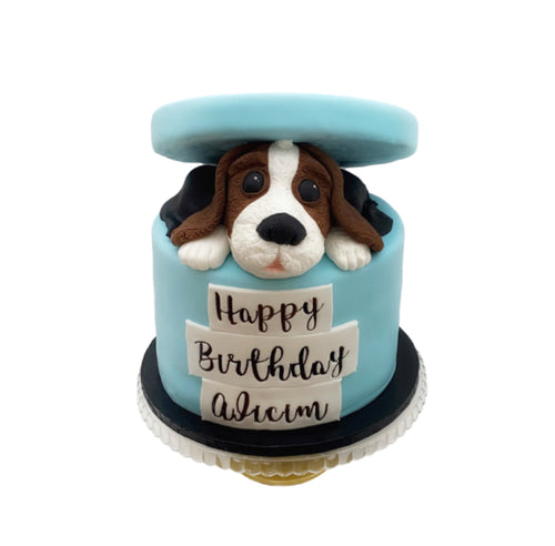 Puppy in a Gift Box Celebration Cake