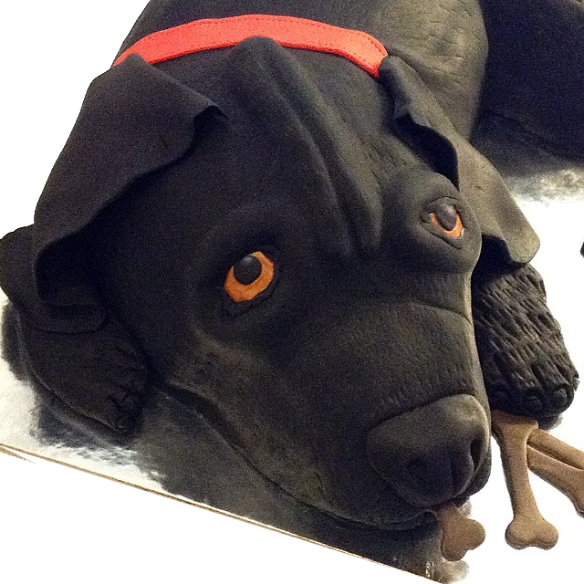 Black labrador cheap cake