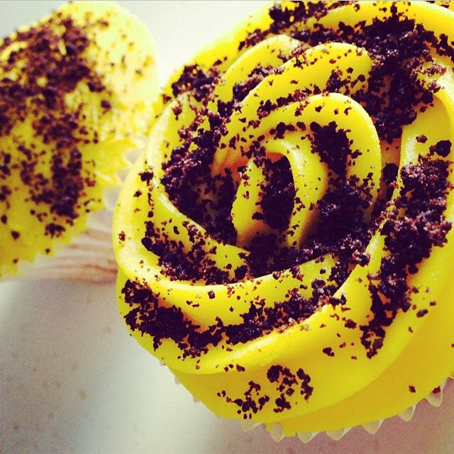 Lemon Swirl + Chocolate Cupcake
