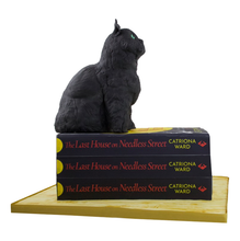 Load image into Gallery viewer, 3D Black Cat Book Cake
