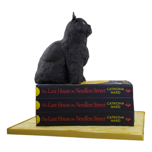 3D Black Cat Book Cake