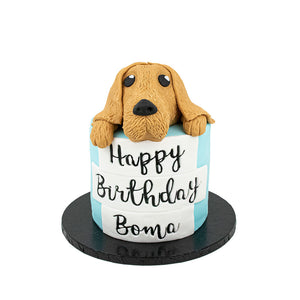 Labrador Birthday Cake