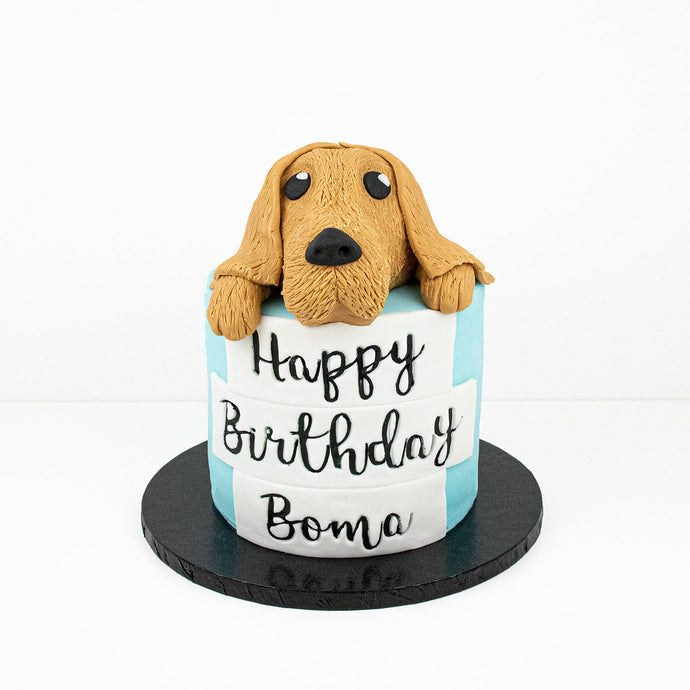 Labrador Birthday Cake